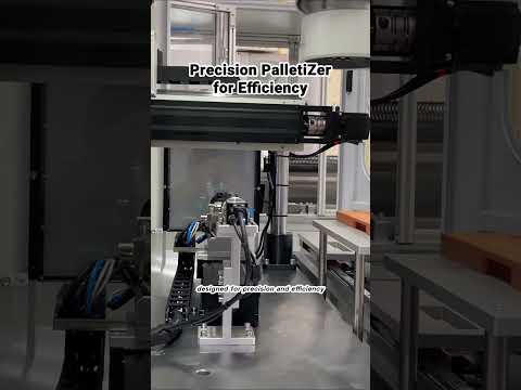 Fully Automatic Loading Assembly Robot: The Future of Efficient Production