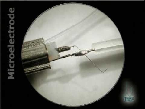 Microelectrode Assembly