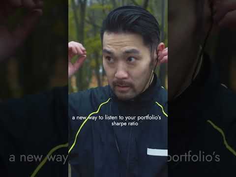 Diversiview AI Voice Portfolio Summary for Investors