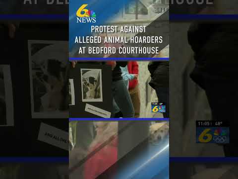 Bail Reduced for Couple Accused in Animal Hoarding, Abuse Case #pennsylvania #animals #dog