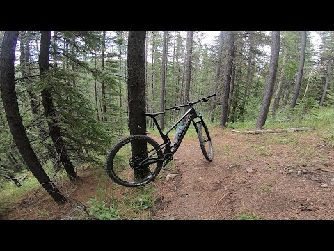2020 Santa Cruz Tallboy - Brothers - Steep and Technical