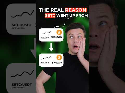 The Secret Reason Bitcoin Has Gone From $16,800 To $100,000 Plus #bitcoin #crypto #btc