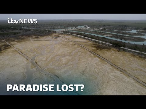 Paradise nearly lost: The Bahamas facing existential rising ocean levels | ITV News