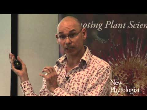 Synthetic biology from the perspective of protein design and engineering - Dek Woolfson