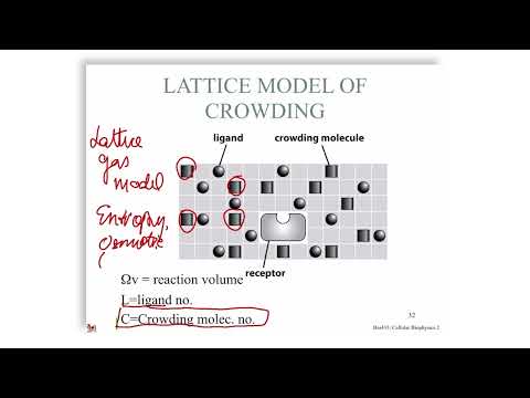 Macromolecular Crowding - Part 01