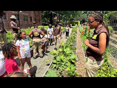 Empowering the Next Generation of Clean Energy Leaders