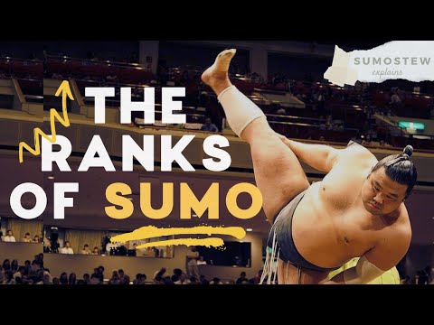 How Sumo Wrestlers are Ranked | Sumo Divisions, Promotions, &amp; Banzuke Explained
