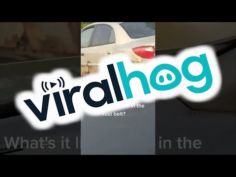 When You Take Living in the Rust Belt Literally || ViralHog