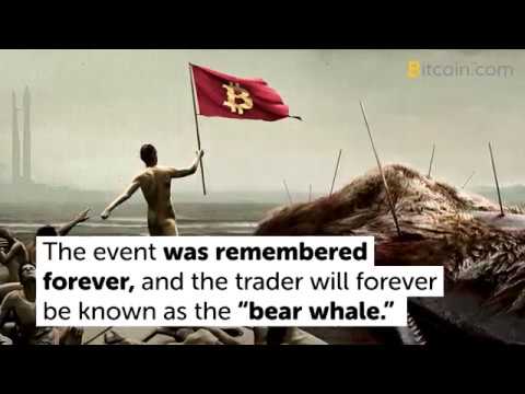 Bitcoin Whales and How They Make Market Waves