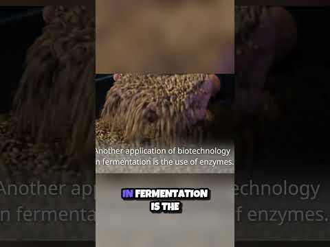Biotech Breakthroughs Yeast, Enzymes, and the Future of Fermentation! 🔬