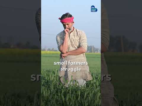 Solar Energy Freezes Water to Keep Farmers’ Produce Fresh