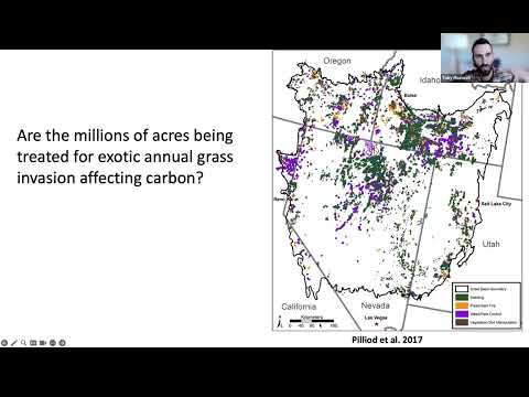 Exploring carbon effects of forest transformation/exotic annual grassland restoration: May 8, 2025