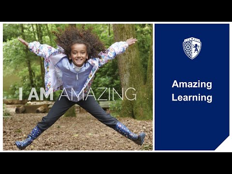 Amazing Learning is central to everything we do