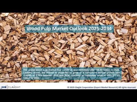 Wood Pulp Market Outlook 2025–2034 Growth Trends &amp; Forecast