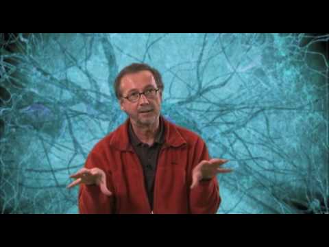 Does quantum physics go beyond causality? - Harald Atmanspacher, Chronicles 1