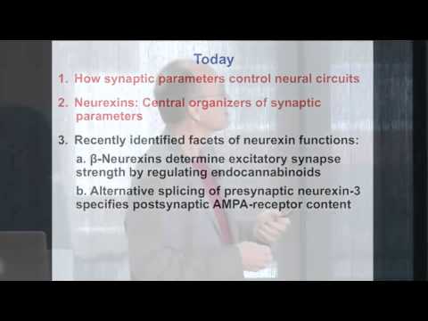 Cracking the Neurexin Code of Neural Circuits