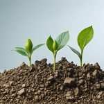 The Revolutionary Shift: How This Brittle Resource Is Redefining Industries