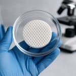Polycaprolactone (PCL) Scaffold Engineering: 2025 Market Surge & Future Innovations Unveiled