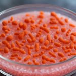 Halophilic Microorganisms: The Salt-Loving Powerhouses Revolutionizing Biotechnology