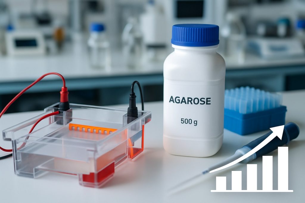 Agarose Gel Electrophoresis Reagent Manufacturing Market 2025: Surging Demand Drives 6.2% CAGR Through 2029 Agarose Gel Electrophoresis Reagent Manufacturing Market 2025: Surging Demand Drives 6.2% CAGR Through 2029